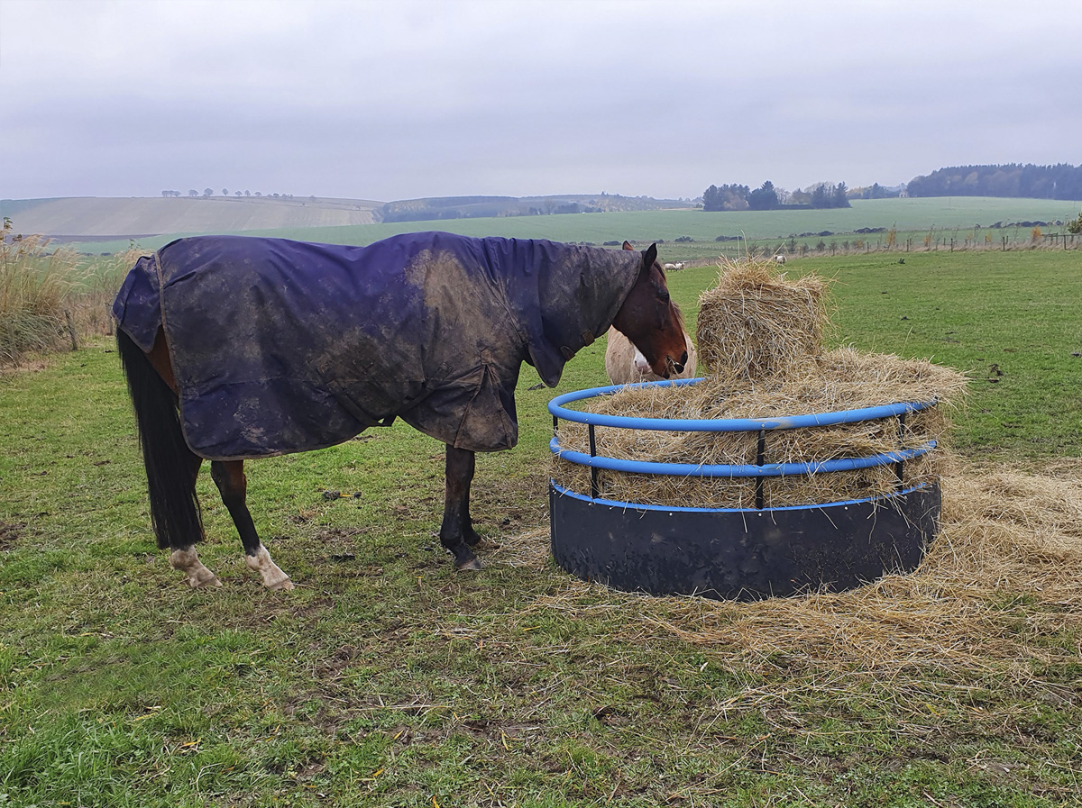 horse feeding from a bale feeder