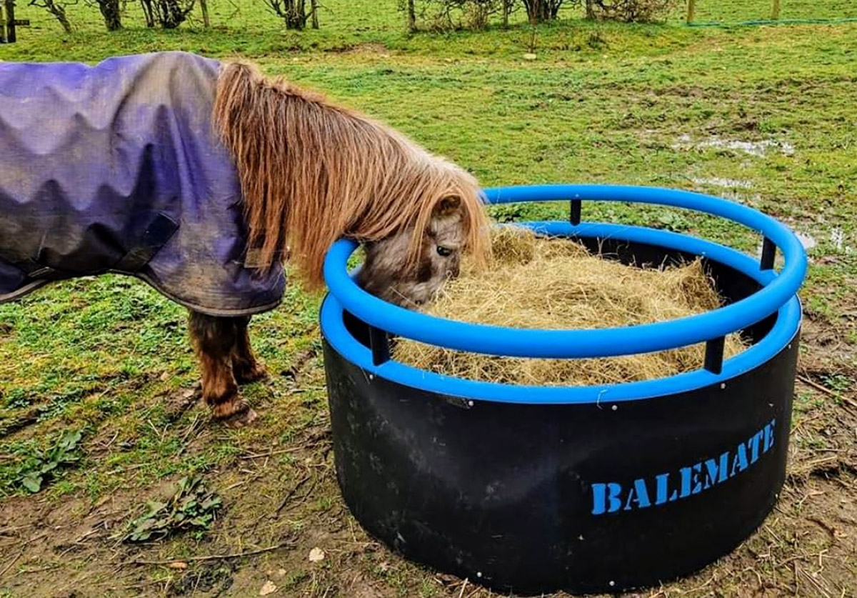 Horse Balemate feeder