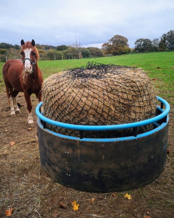 The High Panel Equine Balemate