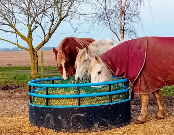 The Standard Equine Balemate